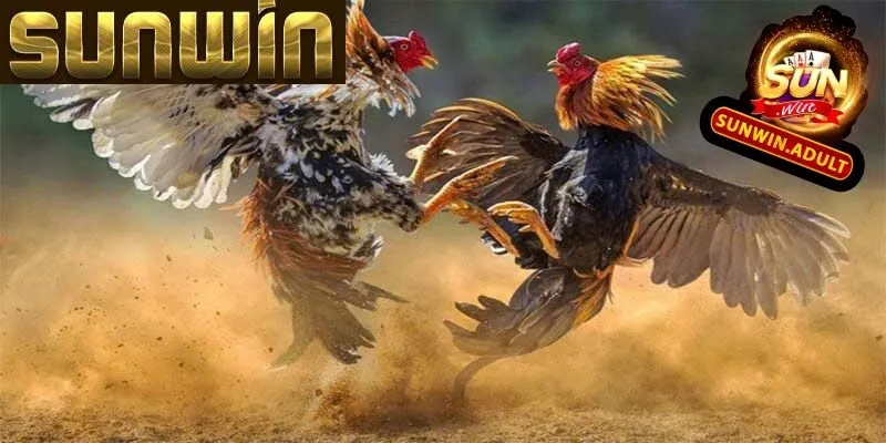 Luật chơi đơn giản